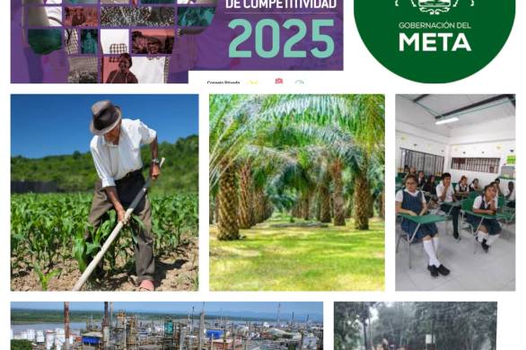 IDC 2024 Departamento del Meta