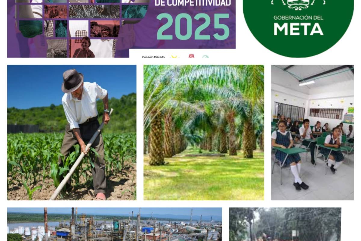 IDC 2024 Departamento del Meta